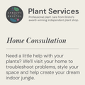 Home Plant Consultation | Plant Styling & Advice - Sprouts of Bristol