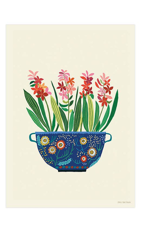 Hyacinths Print A4 - Sprouts of Bristol