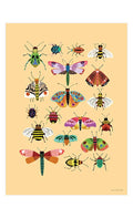 Insects Print A4 - Sprouts of Bristol