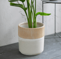 Ivory Hillesley Pot - Sprouts of Bristol