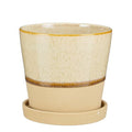 Josh Pot With Saucer in Beige - Sprouts of Bristol