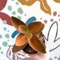 Kalanchoe orgyalis – Copper Spoons - Sprouts of Bristol
