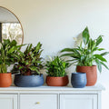 Kew Handthrown Bowl Planter in Azurite Grey - Sprouts of Bristol
