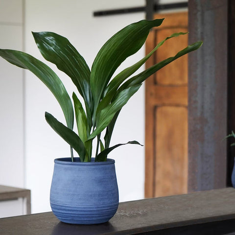 Kew Handthrown Planter in Azurite Grey - Sprouts of Bristol