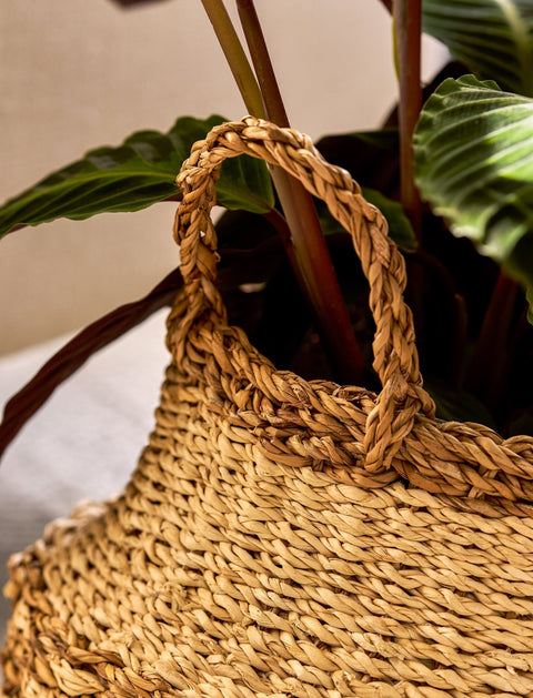 Kingsmead Belly Basket Pot in Seagrass - Sprouts of Bristol