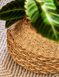 Kingsmead Belly Basket Pot in Seagrass - Sprouts of Bristol