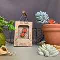 Ladybird Plant Pot Companions - Sprouts of Bristol