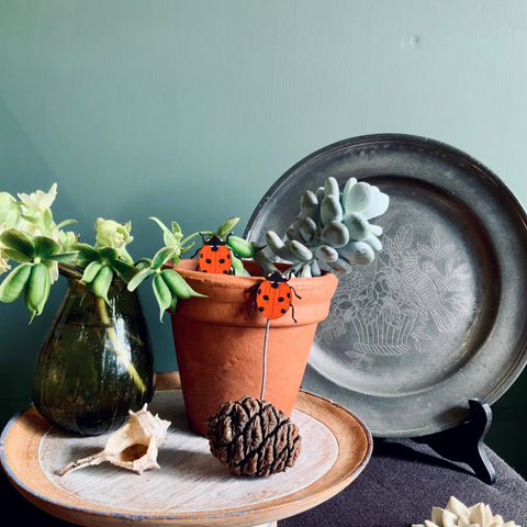 Ladybird Plant Pot Companions - Sprouts of Bristol