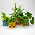 Magpie x Hornsea Small Planty – Geo Flower Yellow Plant Pot - Sprouts of Bristol