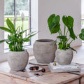 Milos Rustic Round Planter - Sprouts of Bristol