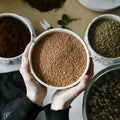 Molar Clay - Soil Component - Sprouts of Bristol