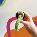 Monkey Tail Cactus - Cleistocactus colademononis - Sprouts of Bristol