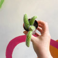 Monkey Tail Cactus - Cleistocactus colademononis - Sprouts of Bristol