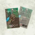 Monstera dubia Metal Pin [Beneath the Canopy RHS Collab] - Sprouts of Bristol
