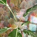 Musa 'Florida Variegata' - Variegated Banana Plant - Sprouts of Bristol