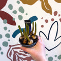 Muscari 'Big Smile' - Potted Grape Hyacinth Bulbs - Sprouts of Bristol