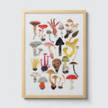 Mushrooms and Toadstools Art Print - Sprouts of Bristol