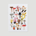 Mushrooms and Toadstools Art Print - Sprouts of Bristol