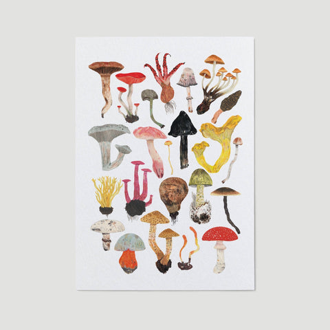 Mushrooms and Toadstools Art Print - Sprouts of Bristol