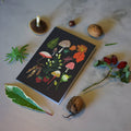 Mushrooms & Moss Greetings Card - Sprouts of Bristol