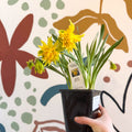Narcissus ‘Rip Van Winkle’ - Potted Daffodils - Sprouts of Bristol