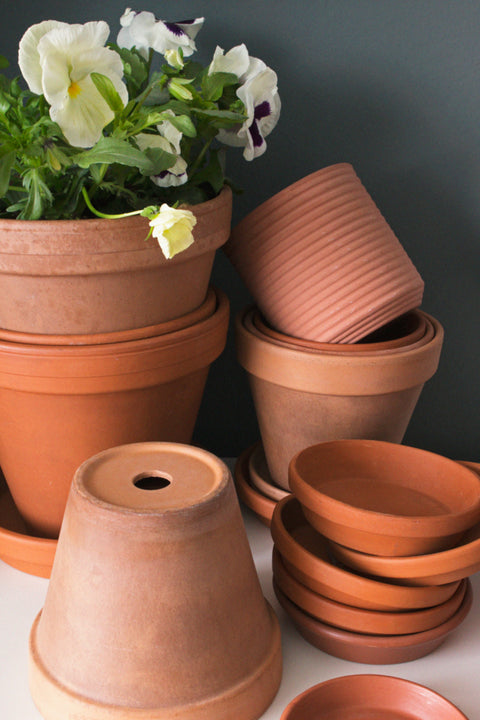 Pots and Planters