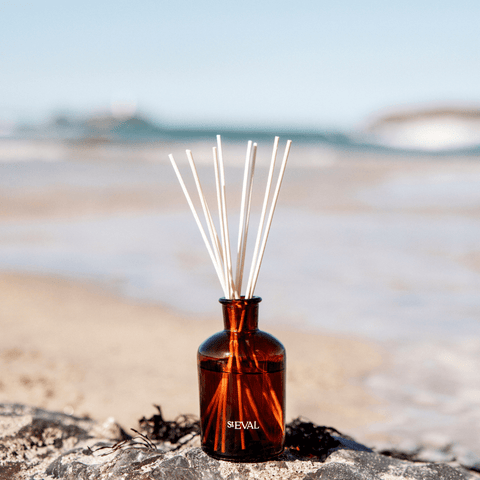 Natural Diffuser Reeds Replacement - Sprouts of Bristol