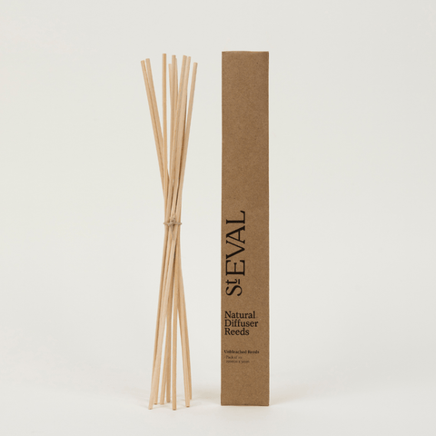 Natural Diffuser Reeds Replacement - Sprouts of Bristol