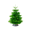 Nordman 39cm Anthracite Christmas Tree Stand for Real Trees up to 3m - Sprouts of Bristol