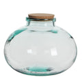 Olly Glass Vessel with Cork Lid [Terrarium Supplies] - Sprouts of Bristol