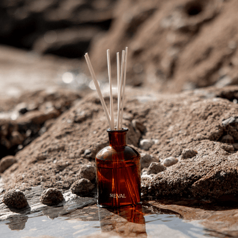 Orange Blossom, Reed Diffuser - Sprouts of Bristol