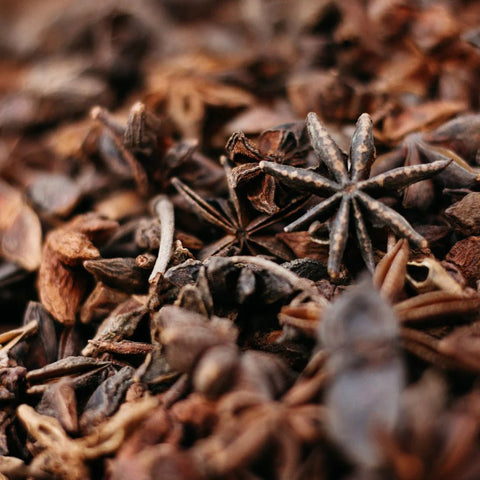 Orange & Cinnamon Diffuser Refill - Sprouts of Bristol