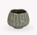 Osmington Pot in Rosemary Green - Sprouts of Bristol