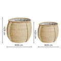 Pando Seagrass Basket Planter - Sprouts of Bristol