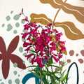 Penstemon 'Garnet' - Beard Tongue [British Grown Perennial] - Sprouts of Bristol