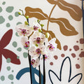 Phalaenopsis 'Bohemian Goya' - Pink and White Moth Orchid - Sprouts of Bristol
