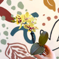 Phalaenopsis - Yellow and Purple Spotted Moth Orchid - Sprouts of Bristol