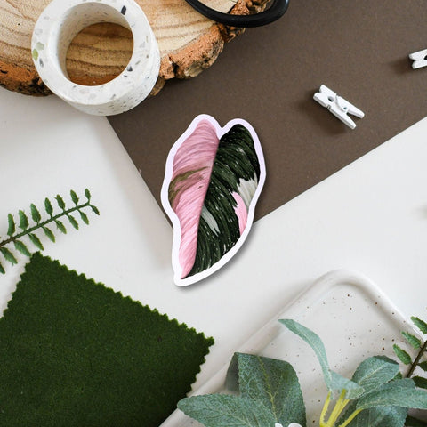 Philodendron ‘Pink Princess’ Tropical Houseplant Vinyl Sticker [Beneath the Canopy RHS Collab] - Sprouts of Bristol