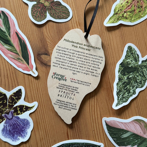 Philodendron ‘Pink Princess’ Wooden Decoration [Beneath the Canopy RHS Collab] - Sprouts of Bristol