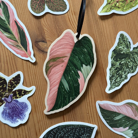 Philodendron ‘Pink Princess’ Wooden Decoration [Beneath the Canopy RHS Collab] - Sprouts of Bristol