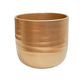 Poinsettia Ripple Gold Planter - Sprouts of Bristol
