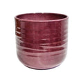 Poinsettia Ripple Red Planter - Sprouts of Bristol
