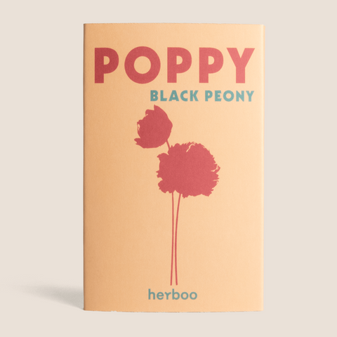 Poppy 'Black Peony' Seeds - Sprouts of Bristol