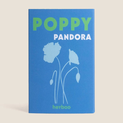 Poppy 'Pandora' Seeds - Sprouts of Bristol