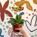 Primula veris - Red Cowslip - British Grown - Sprouts of Bristol