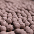 Red Campion Wildflower Seedball Tubes - Sprouts of Bristol