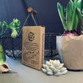 Robin Plant Pot Companions - Sprouts of Bristol