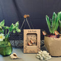 Robin Plant Pot Companions - Sprouts of Bristol