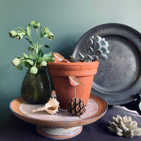 Robin Plant Pot Companions - Sprouts of Bristol