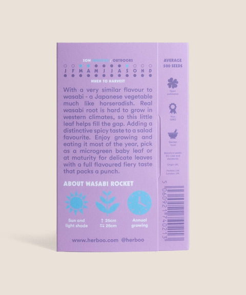Rocket Wild Wasabi Seeds - Sprouts of Bristol